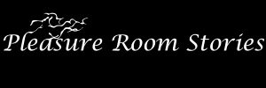 Logo Pleasure Room Stories